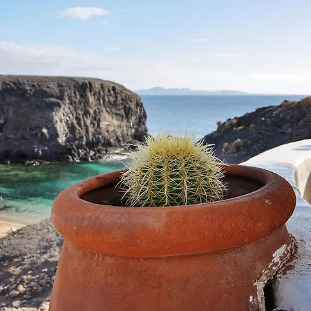别墅 Acacia 雅伊萨